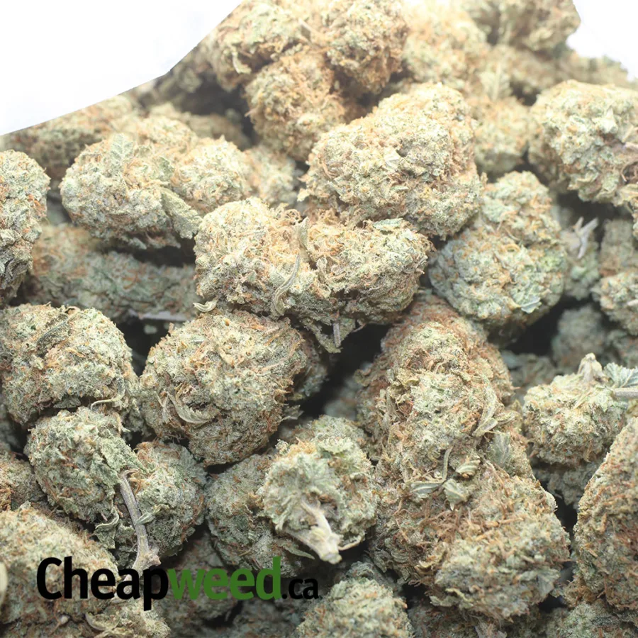 Punch Breath - Image 3