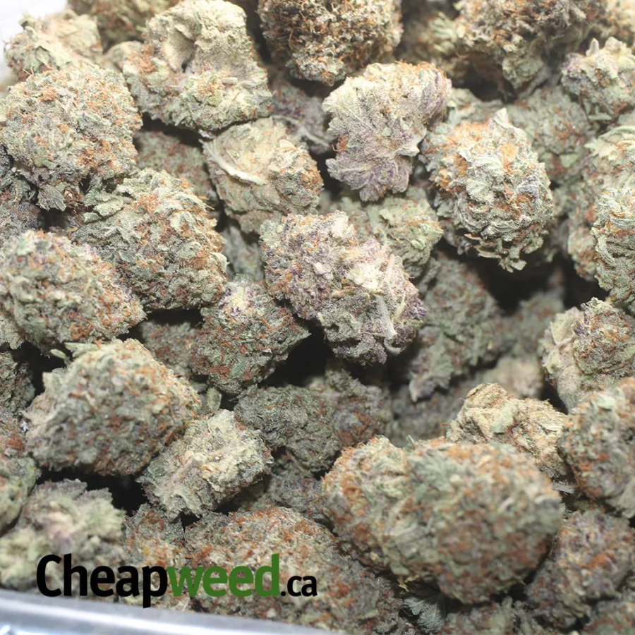 Purple Amnesia - Image 3