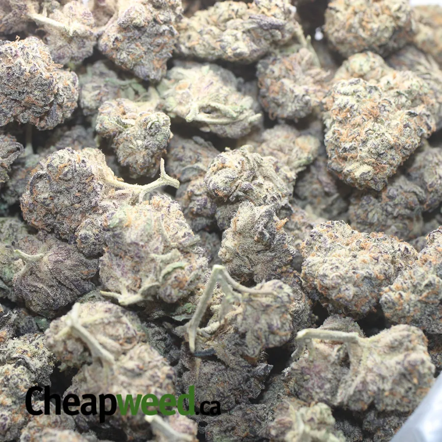 Purple Cookies - Image 3