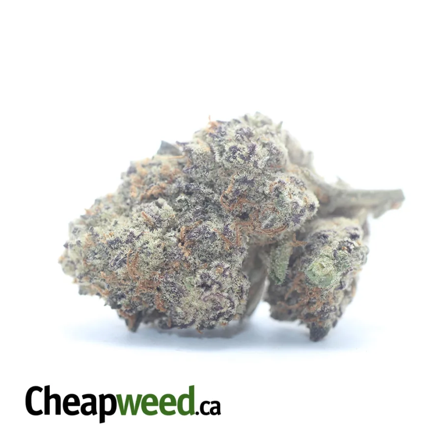 Purple Cookies