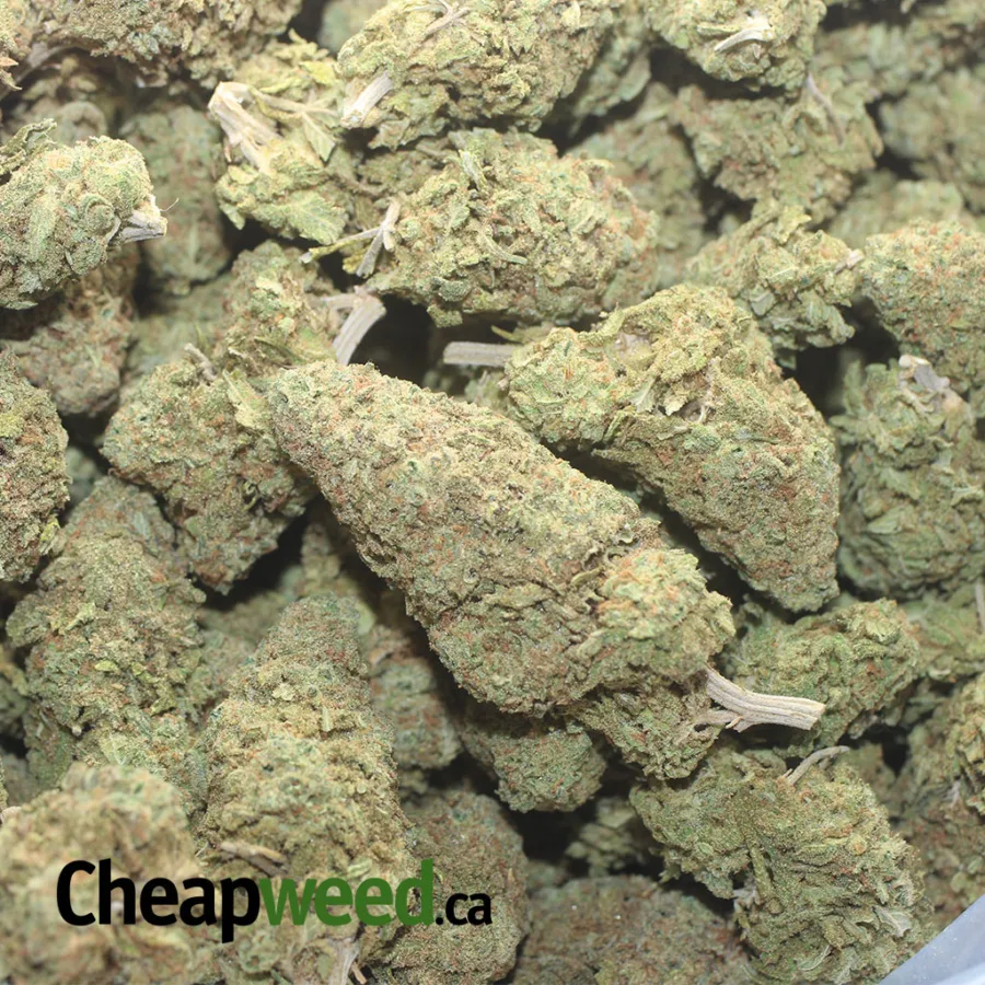 Purple OG - Image 3