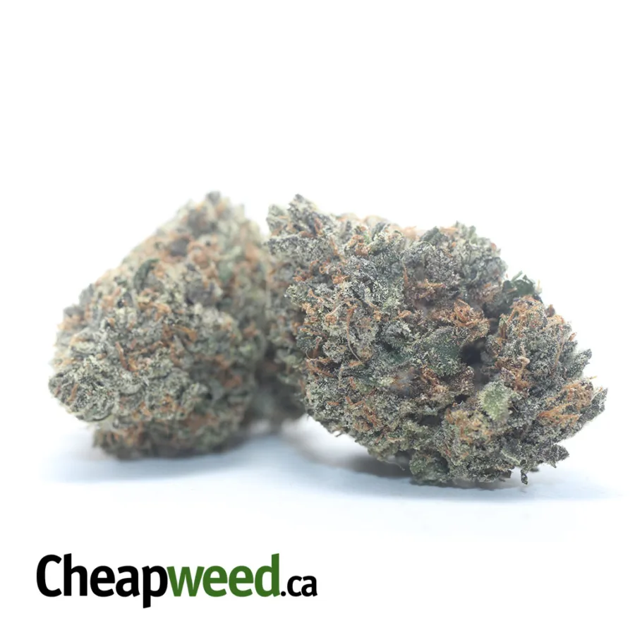 Alternative view of Purple Runtz