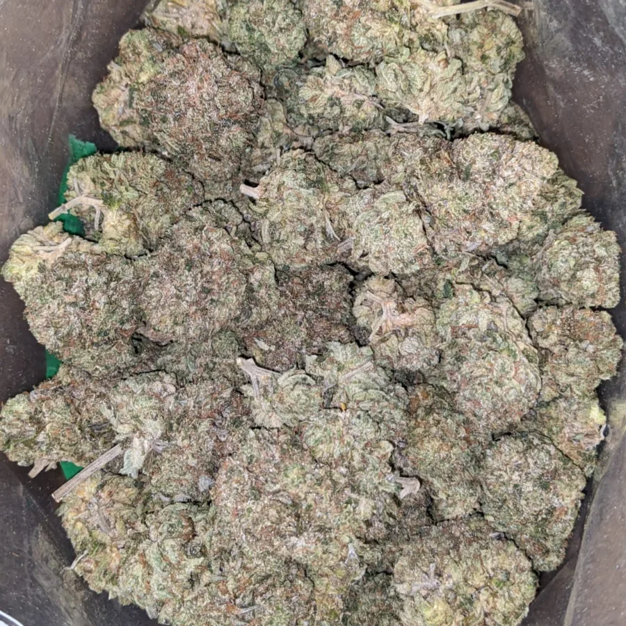 Pink Kush - Image 3