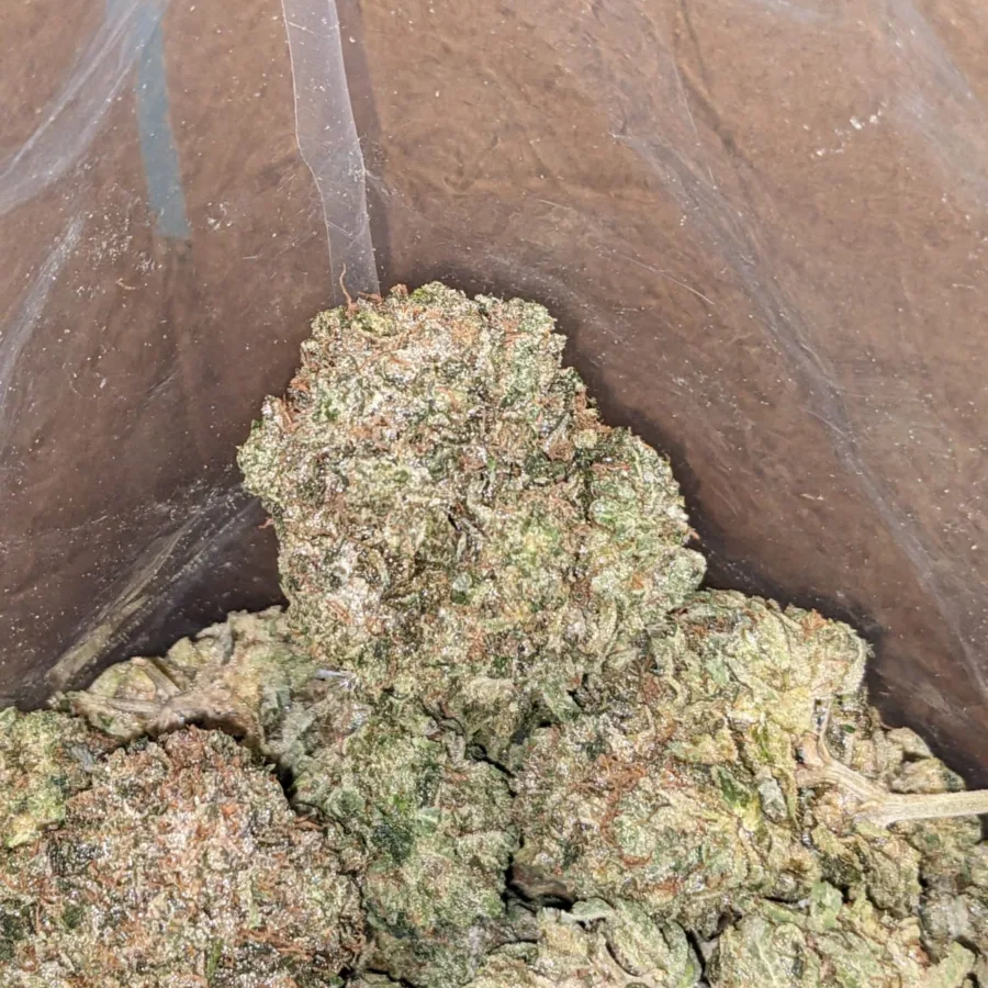 Alternative view of Pink Kush