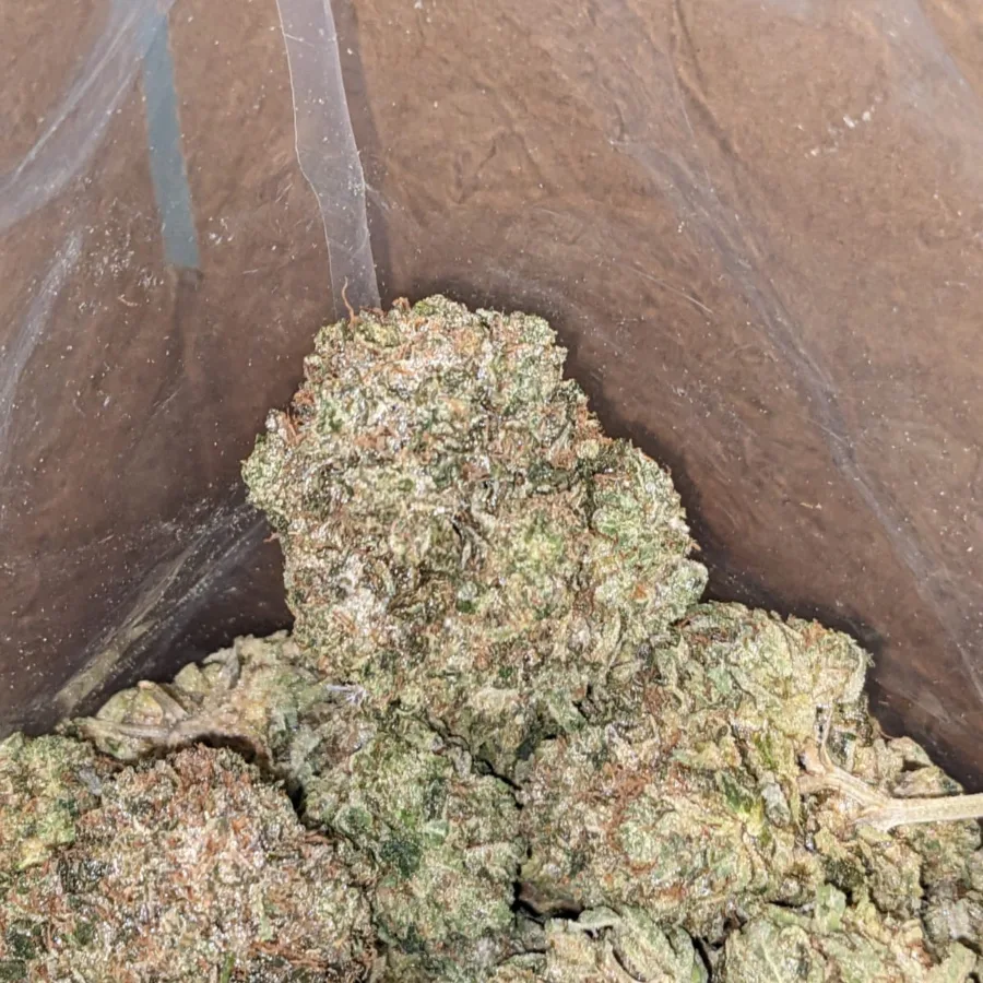 Pink Kush - Image 5