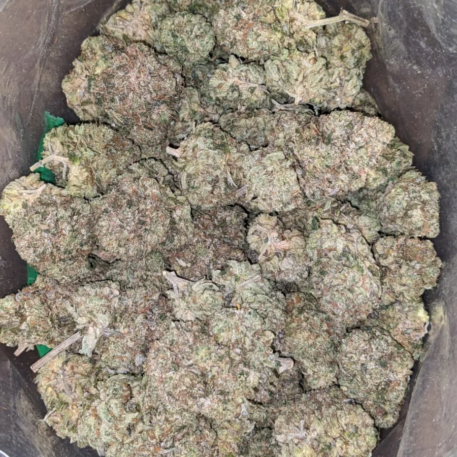 Pink Kush
