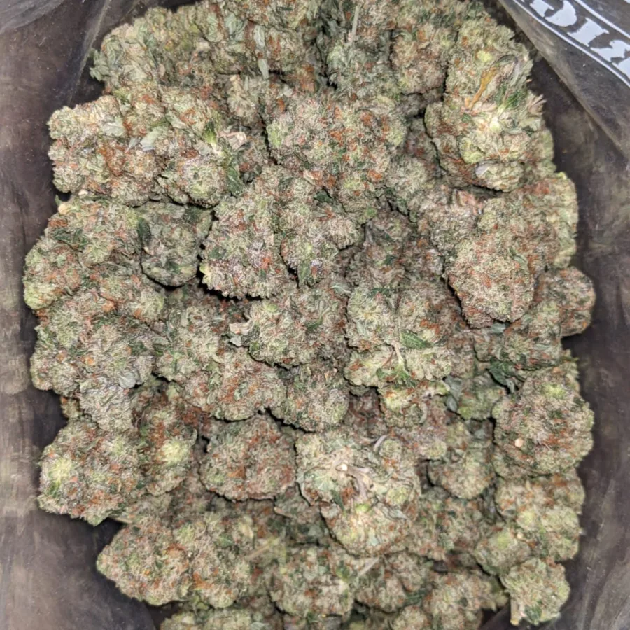 Pink Skunk