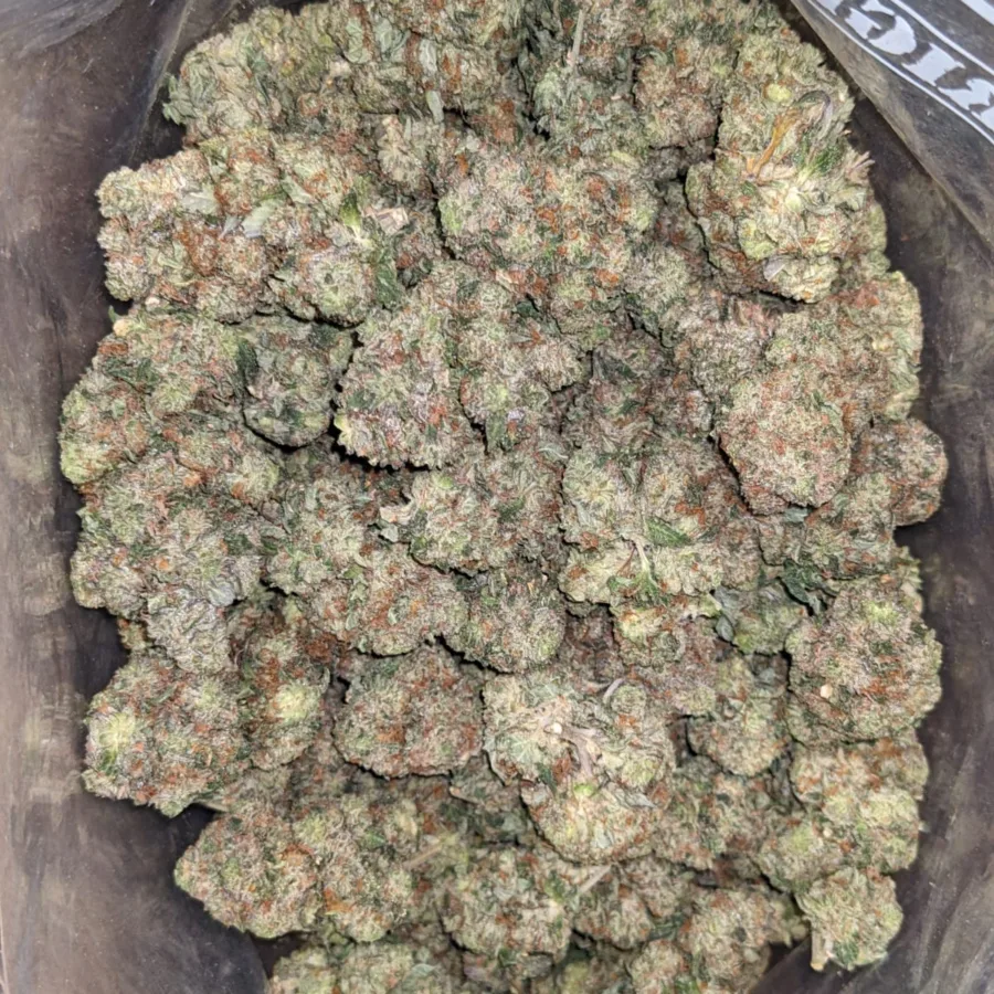 Alternative view of Pink Skunk