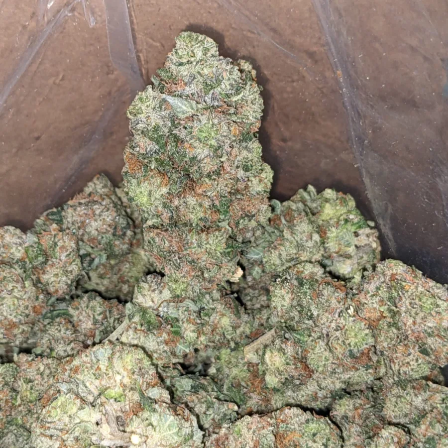 Pink Skunk - Image 4
