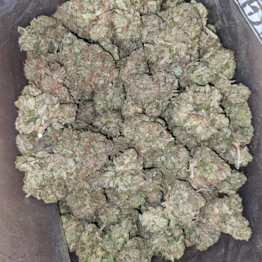 Master Kush x Rockstar - Image 2