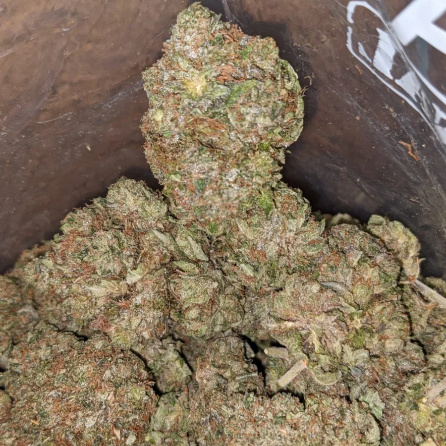 Master Kush x Rockstar - Image 5