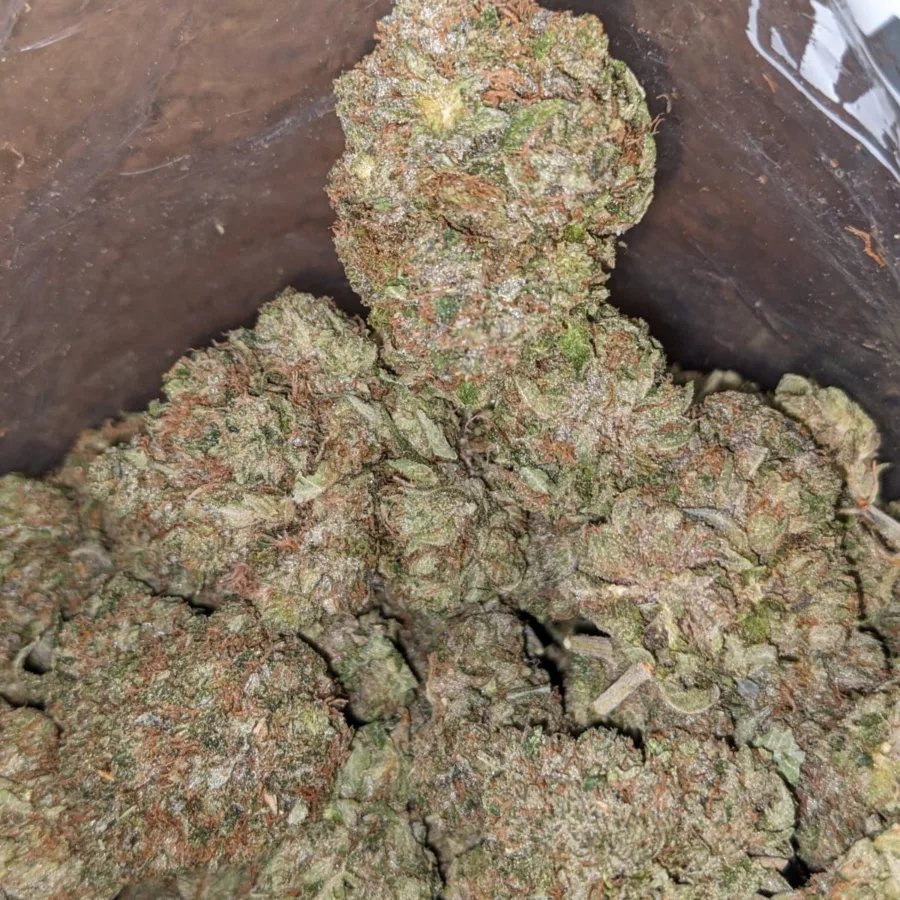 Master Kush x Rockstar - Image 4