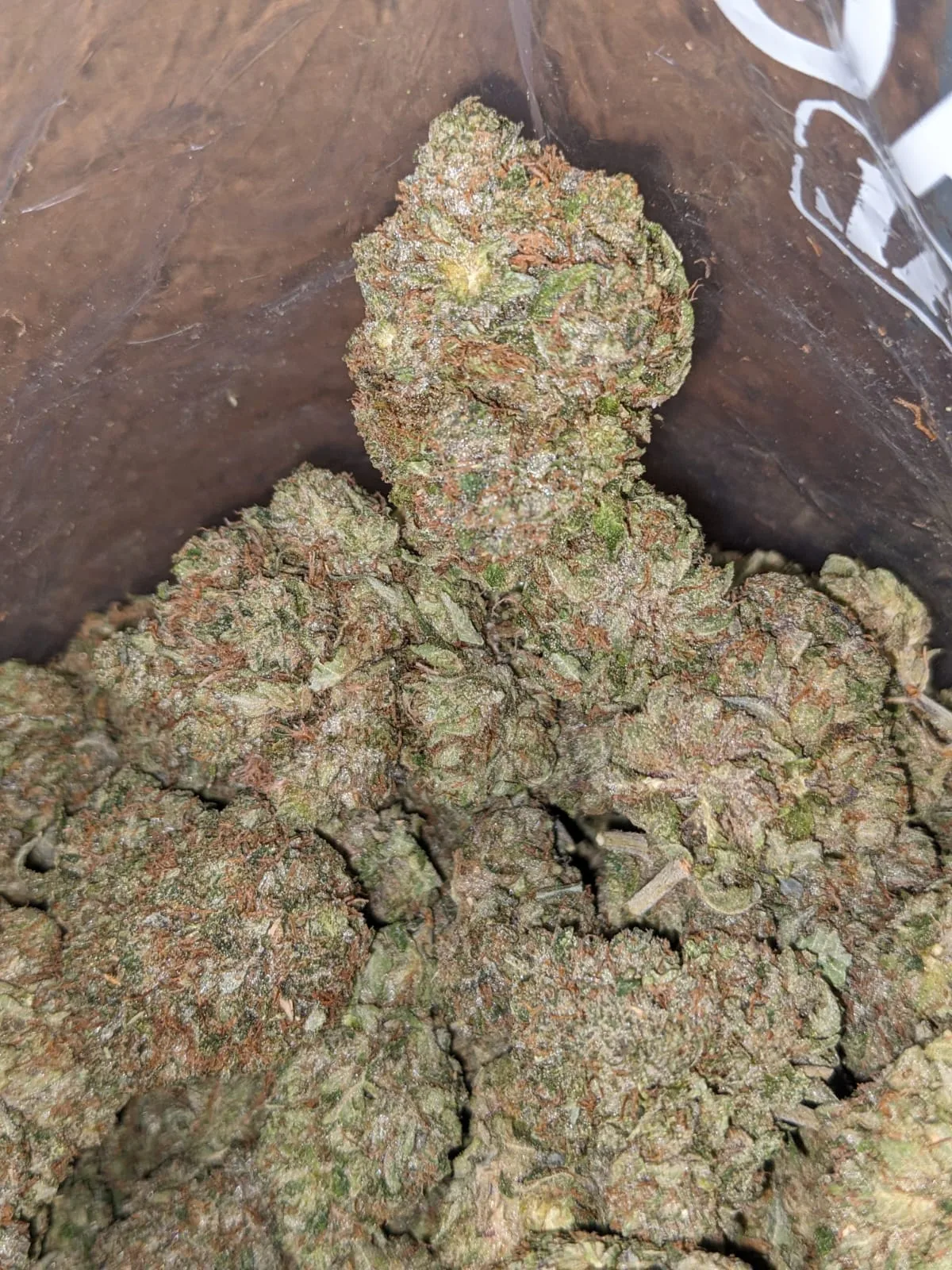 Master Kush x Rockstar - Image 4