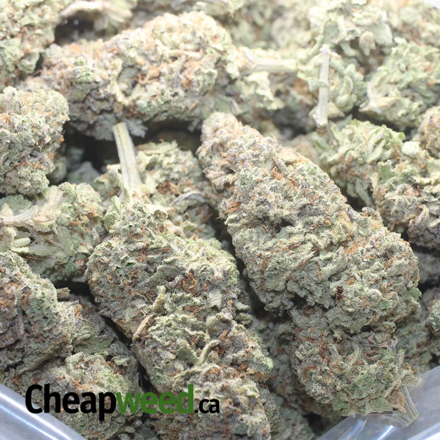 $ 72 Oz - Space Cookies - Image 3