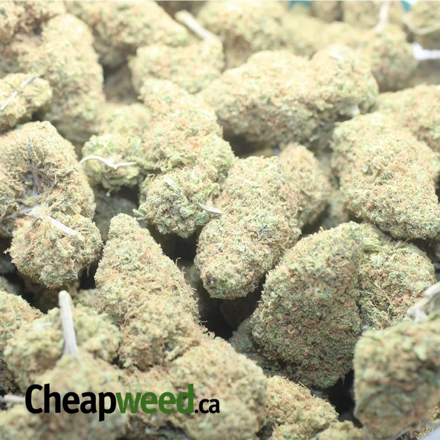 Sunset Sherbert - Image 3