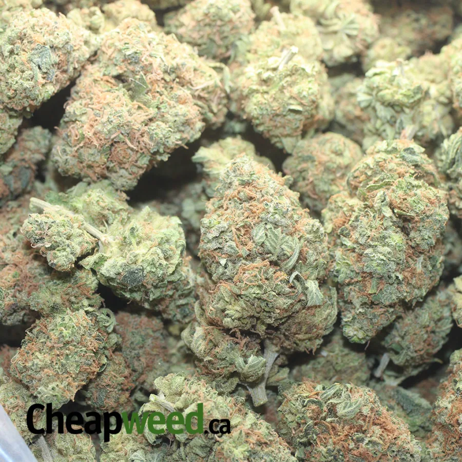 Sweet Bubba - Image 3