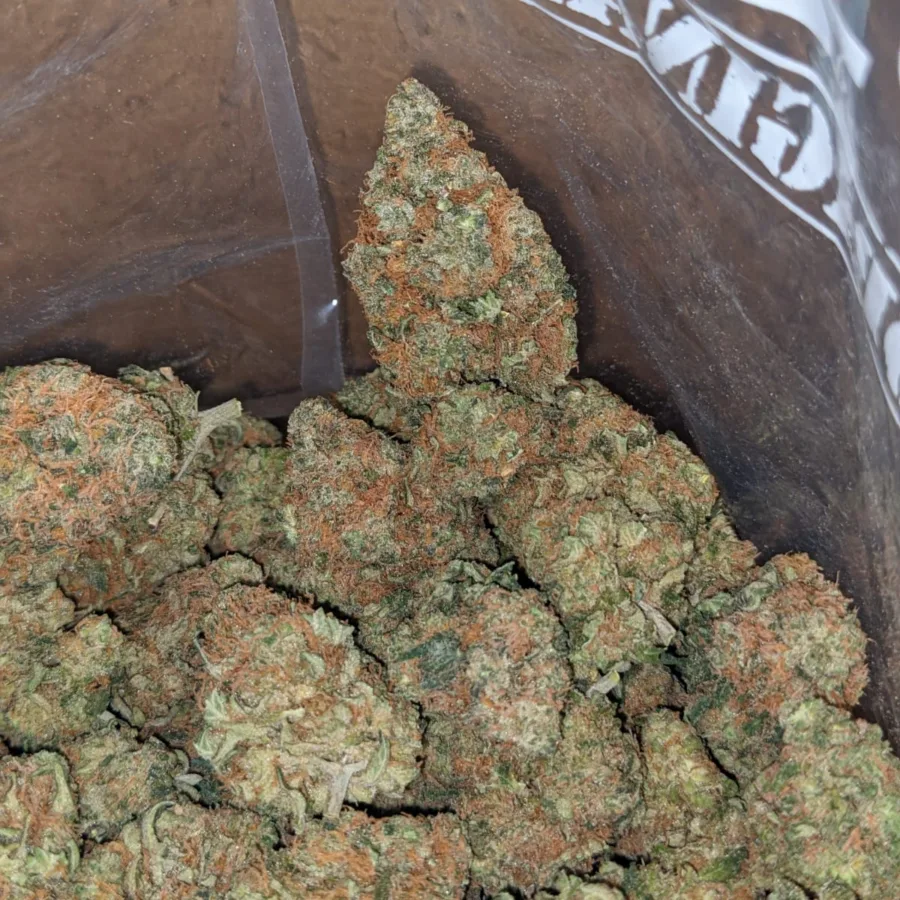 Alternative view of Sweet Bubba