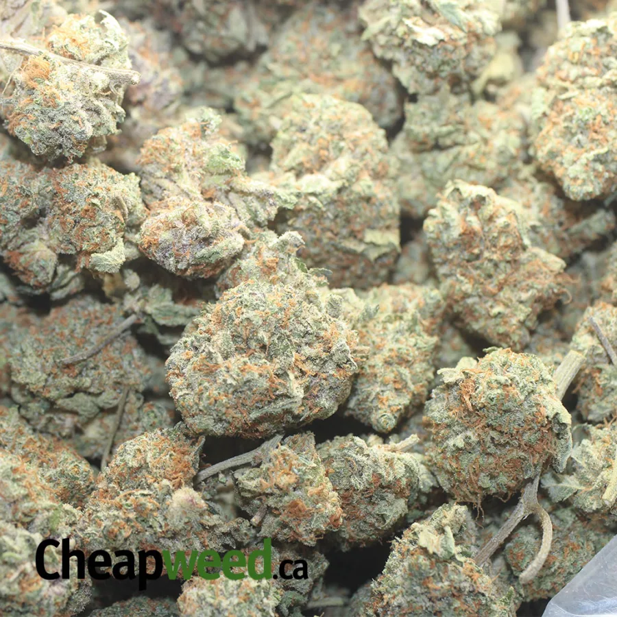 Tangerine Dream - Image 3