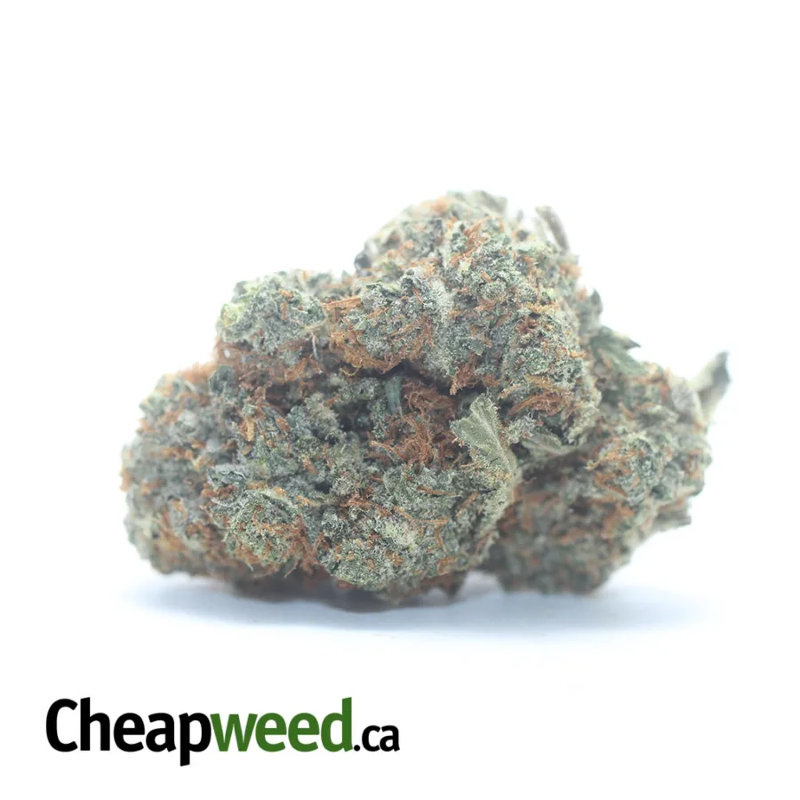 Tangerine Dream