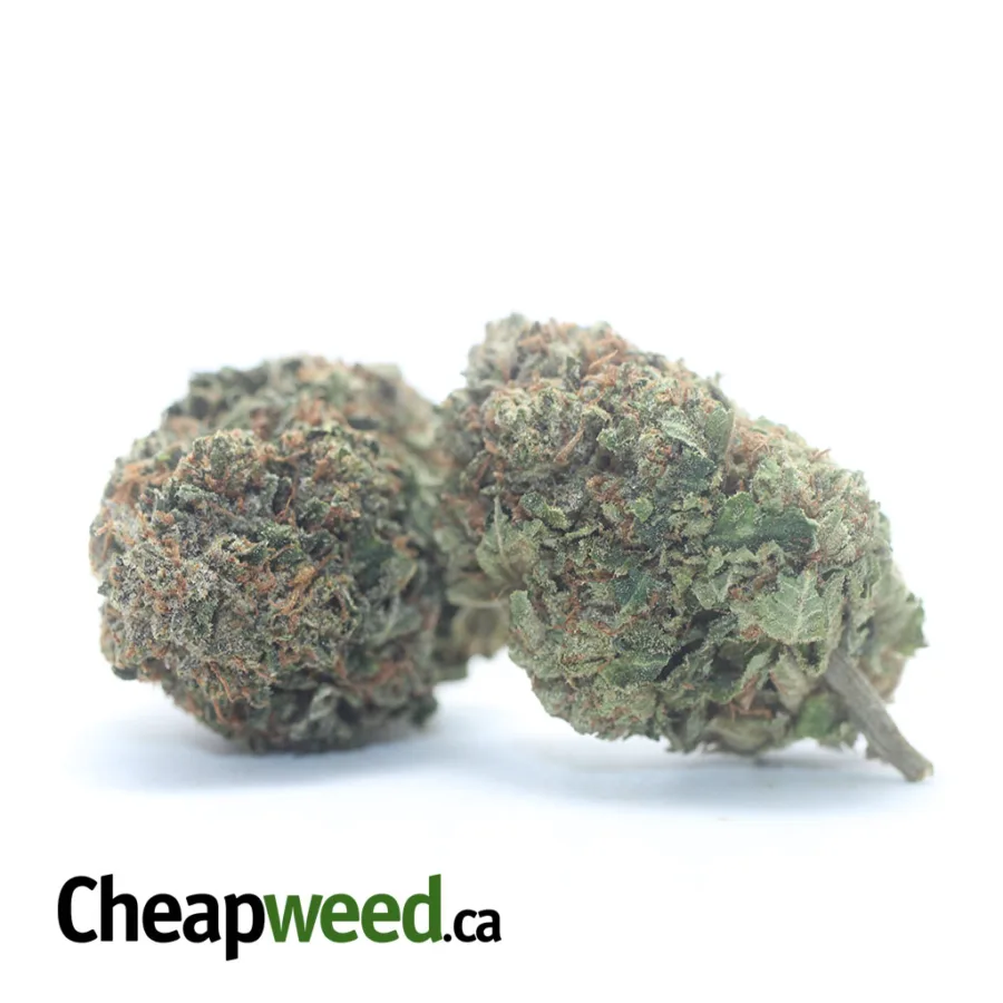 Alternative view of Tony's Death Bubba