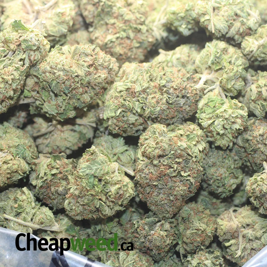 Tony's Death Bubba - Image 3