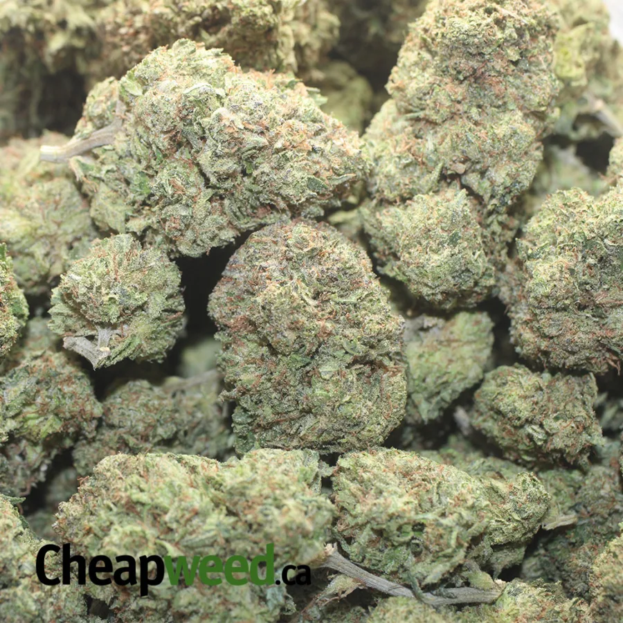 Tony's Pink Kush - Image 3