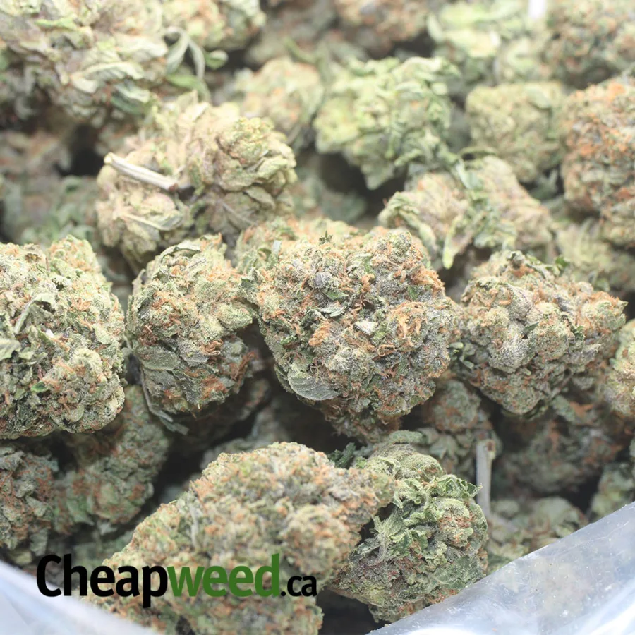 Trainwreck - Image 3