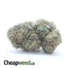 Trainwreck