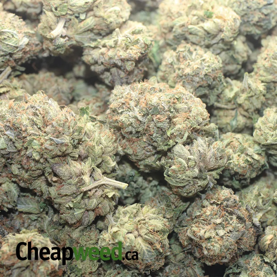 West Coast Cookies - Image 3