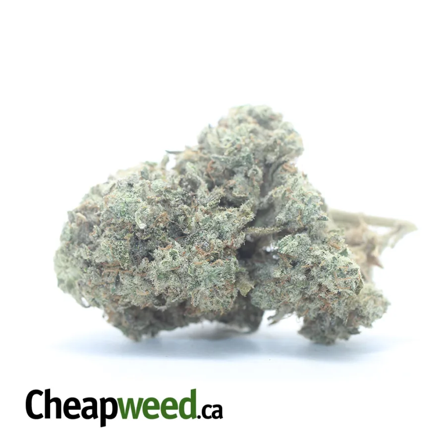 White Cookies