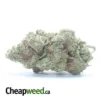 $47oz White Rhino