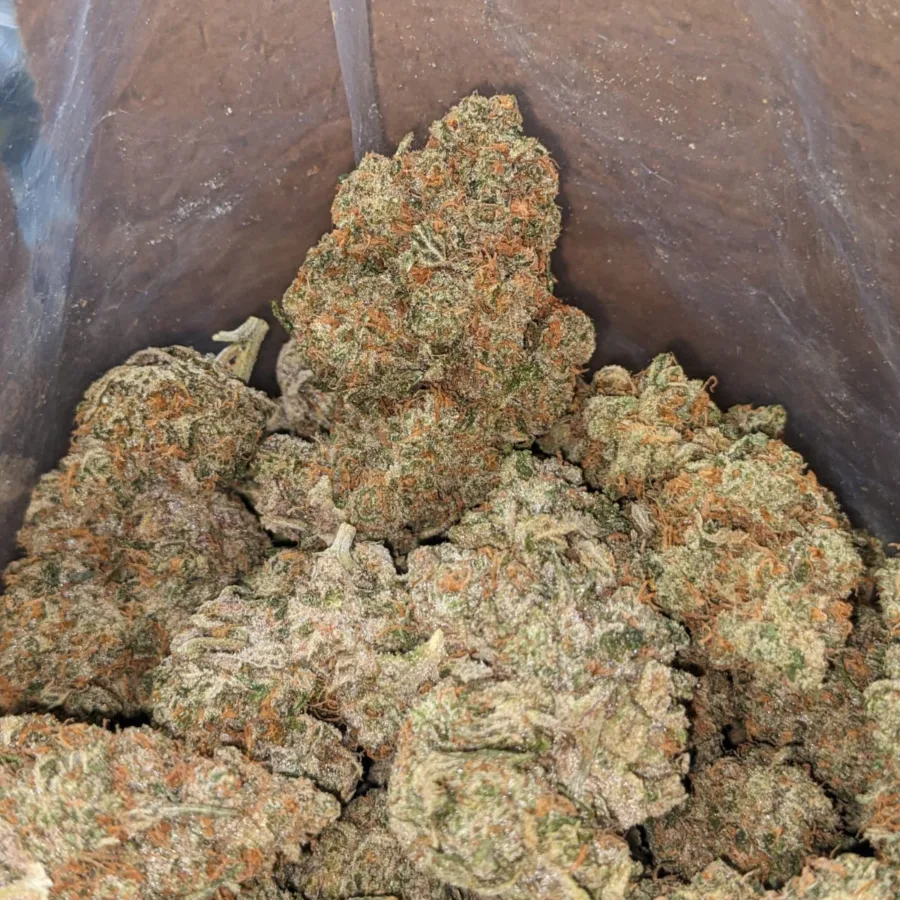 Alternative view of West Coast Cookies