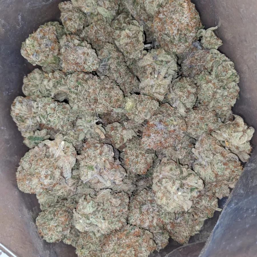 $ 75 Oz - Glitter Titties - Image 7