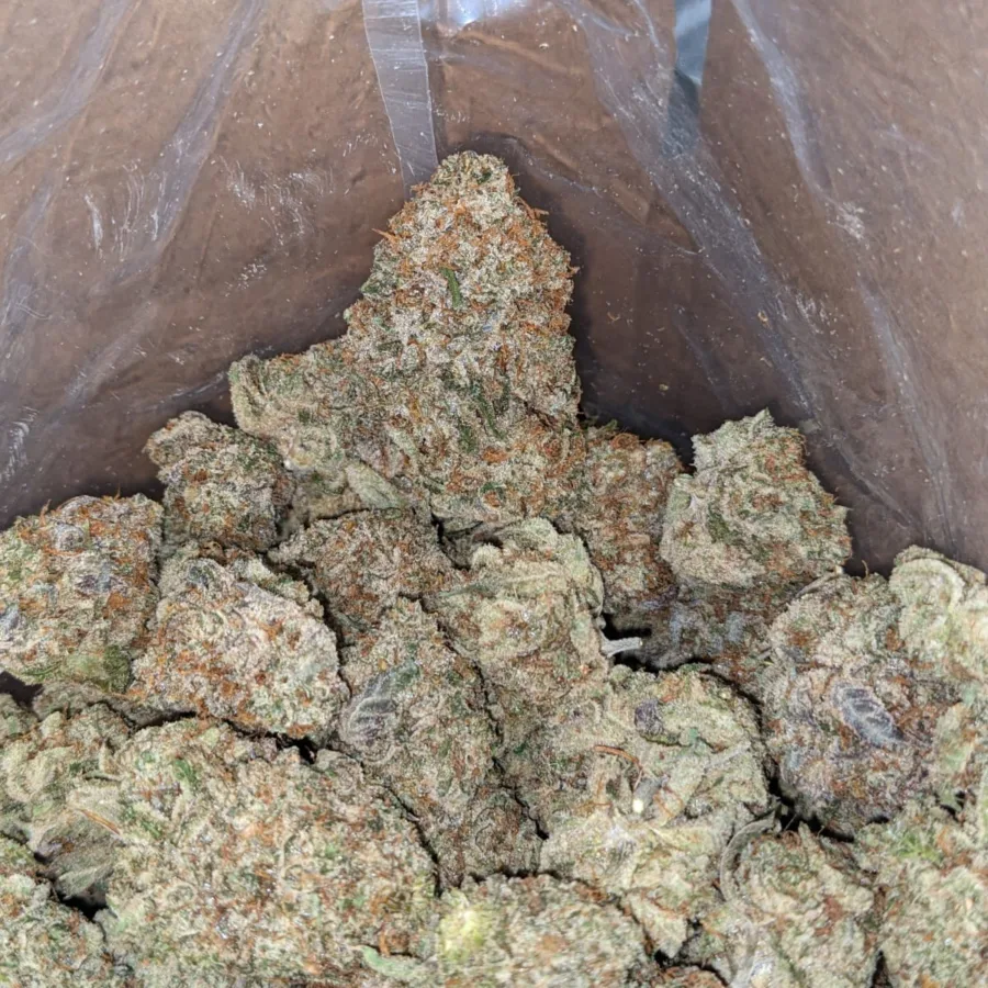 Alternative view of $ 75 Oz - Glitter Titties