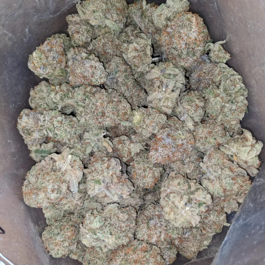 $ 75 Oz - Glitter Titties - Image 6
