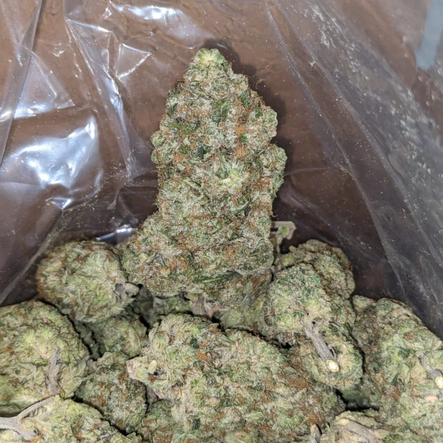 Alternative view of $ 69 Oz - Pinetar