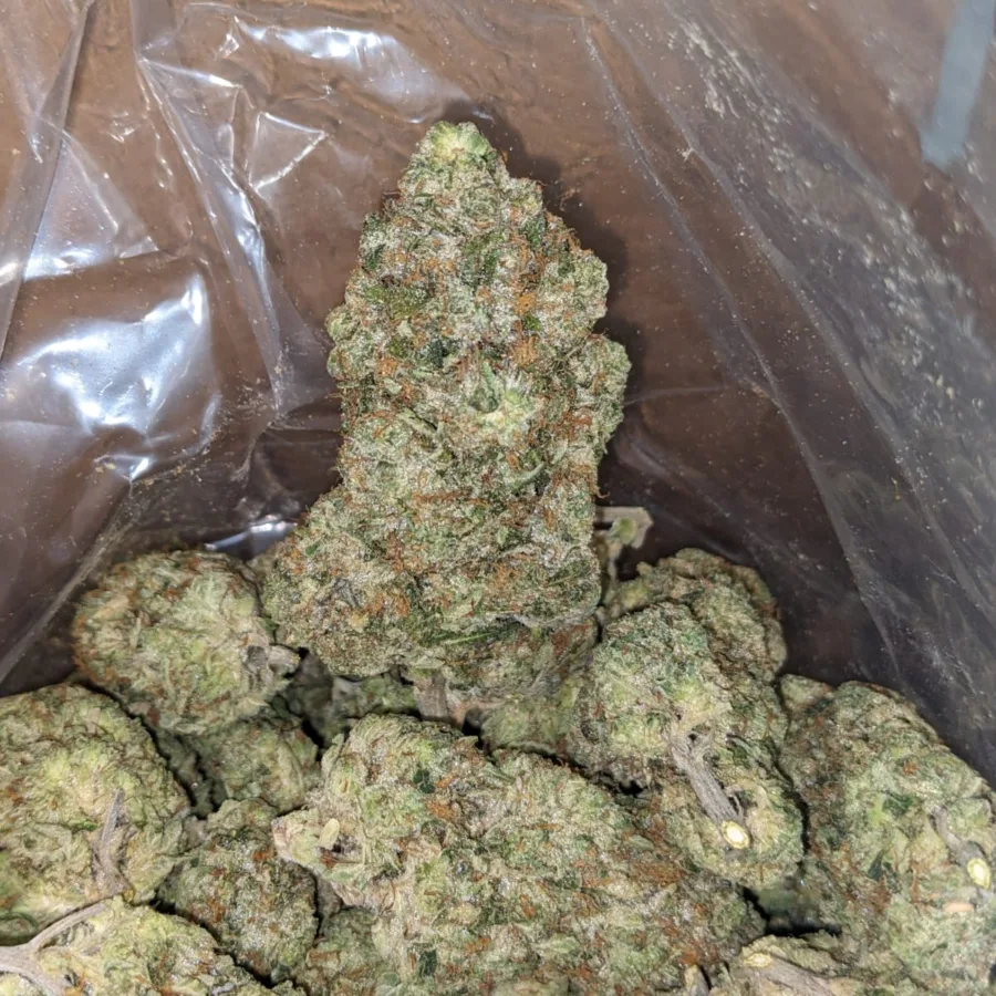 $ 69 Oz - Pinetar - Image 5