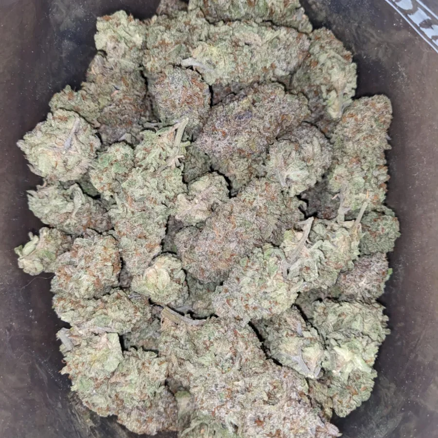 Alternative view of $ 65 Oz - 33 Degrees