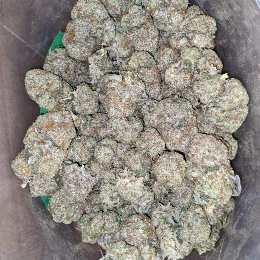 Alternative view of Tony's Death Bubba