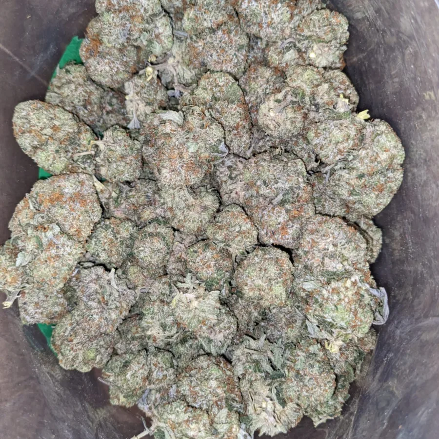 Tony's Death Bubba