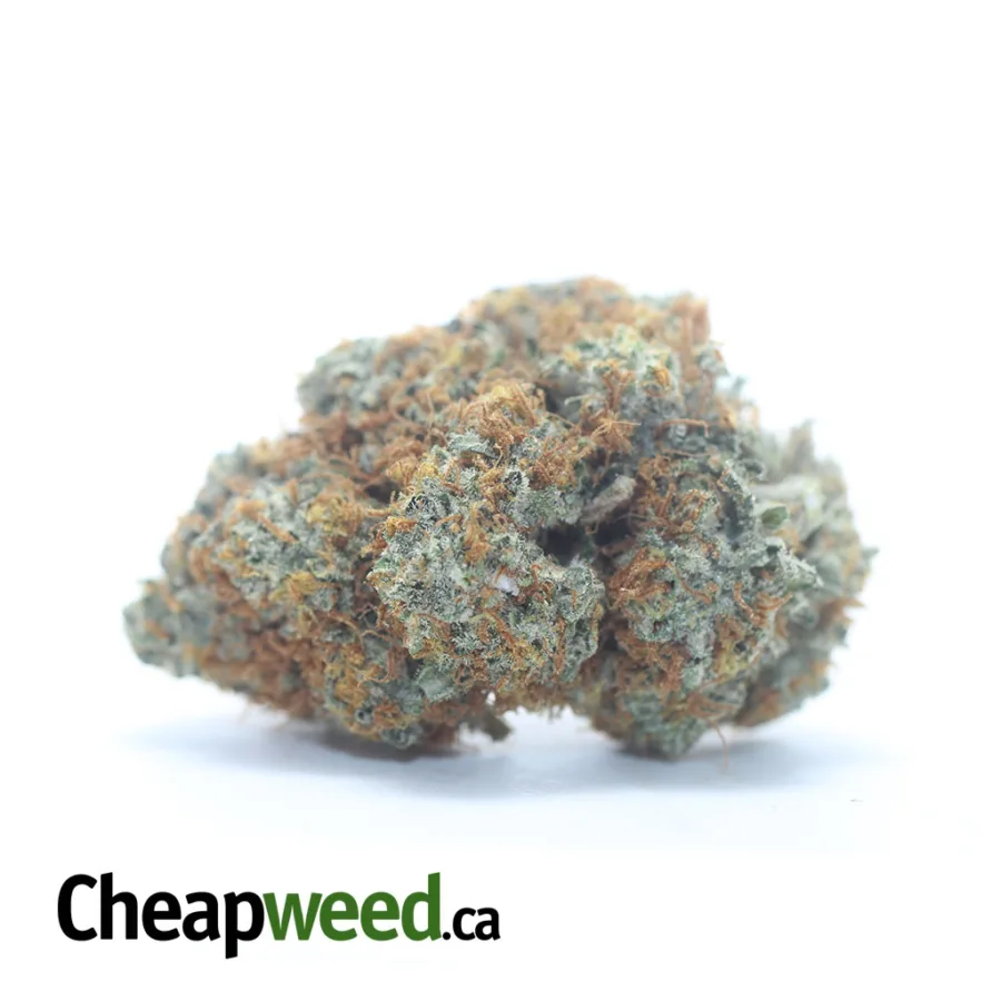 Agent Orange
