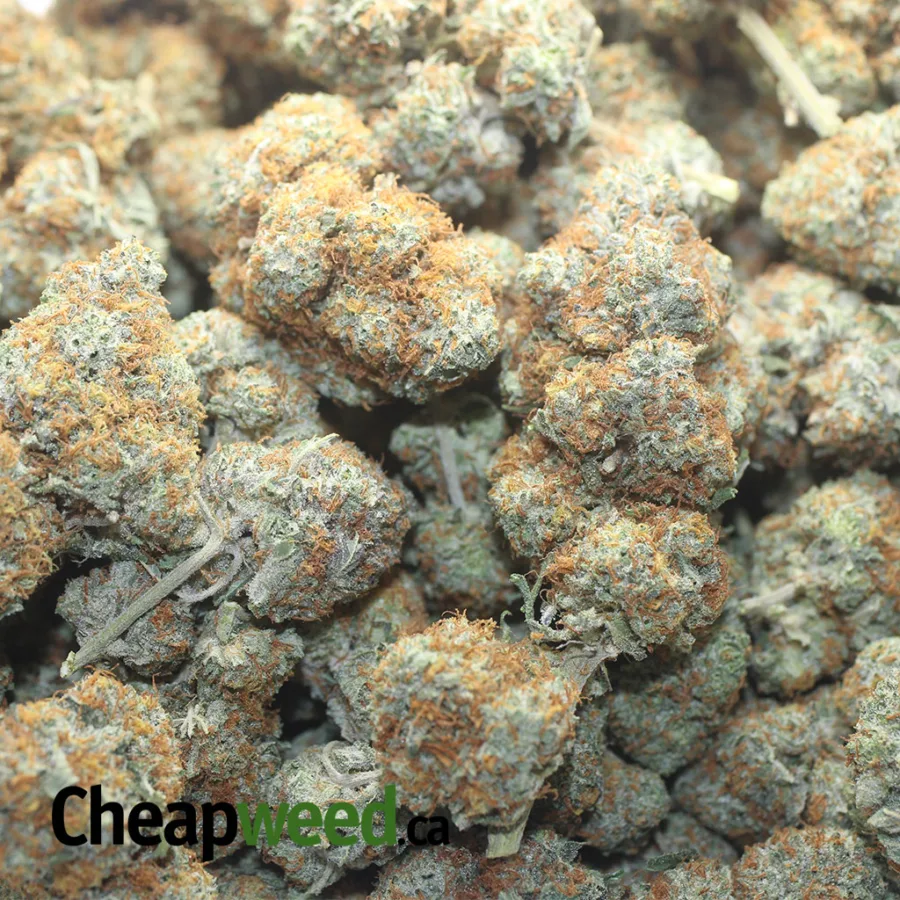 Agent Orange - Image 3