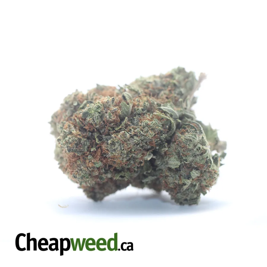 Black Bubba