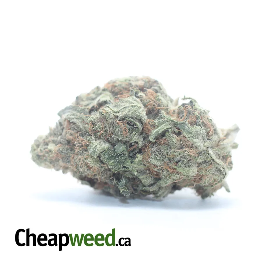 Cherry Cough
