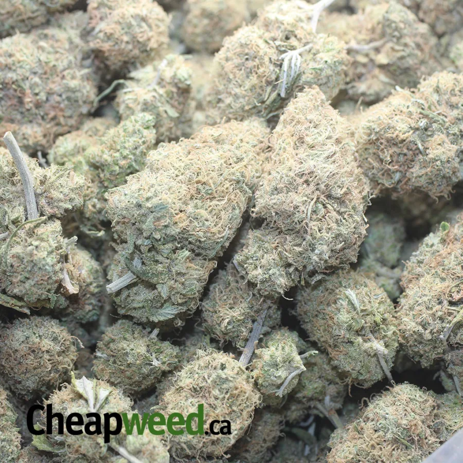 Chocolate Kush - Image 3