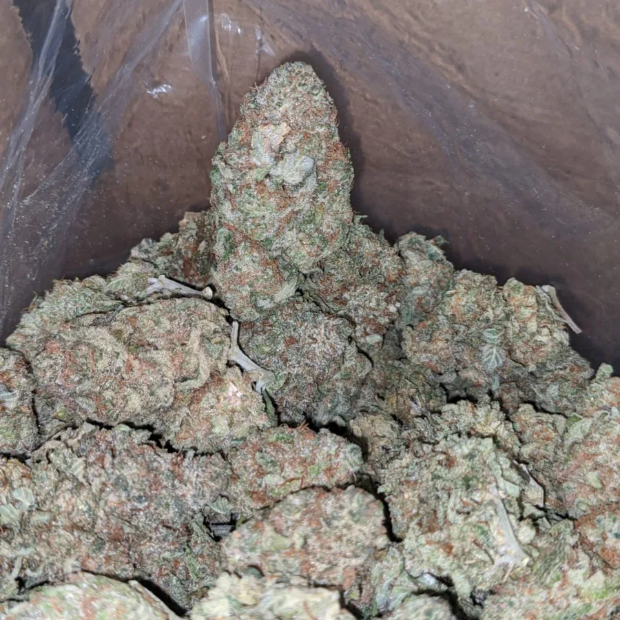 Cherry Cough - Image 5
