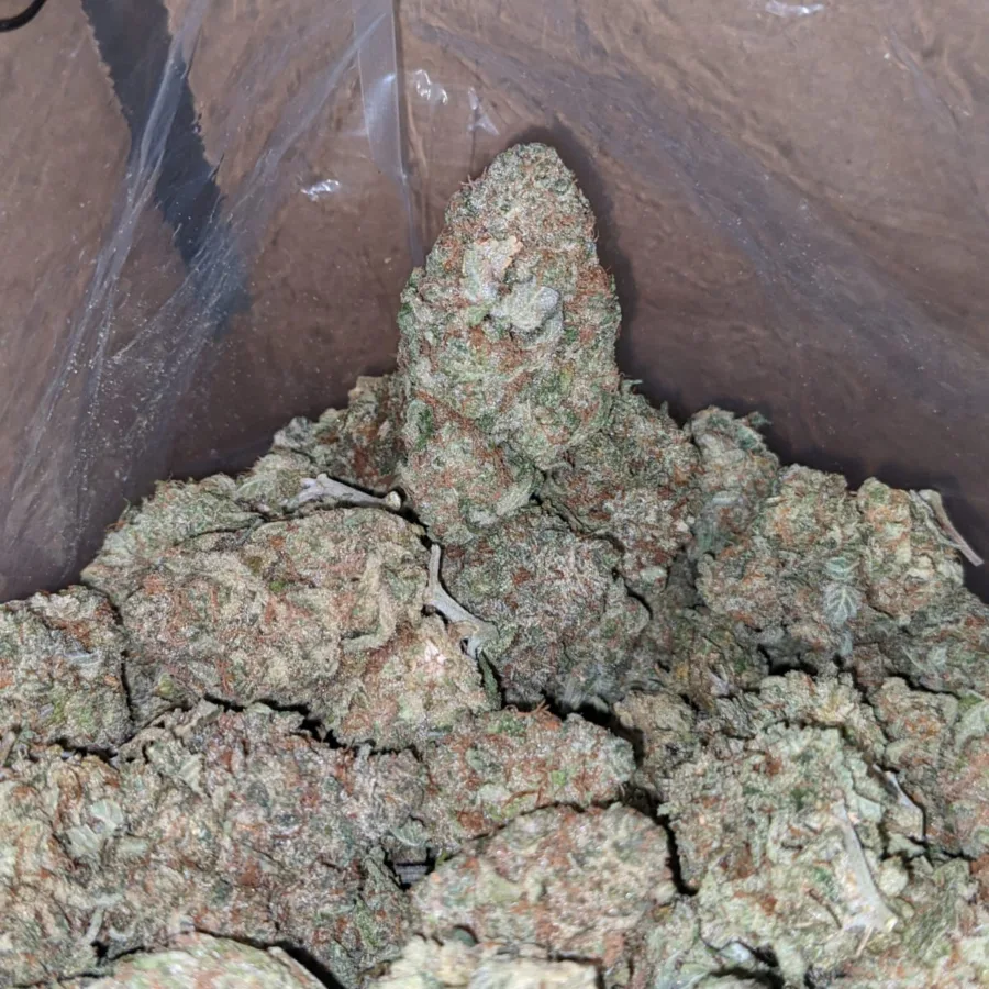Cherry Cough - Image 4