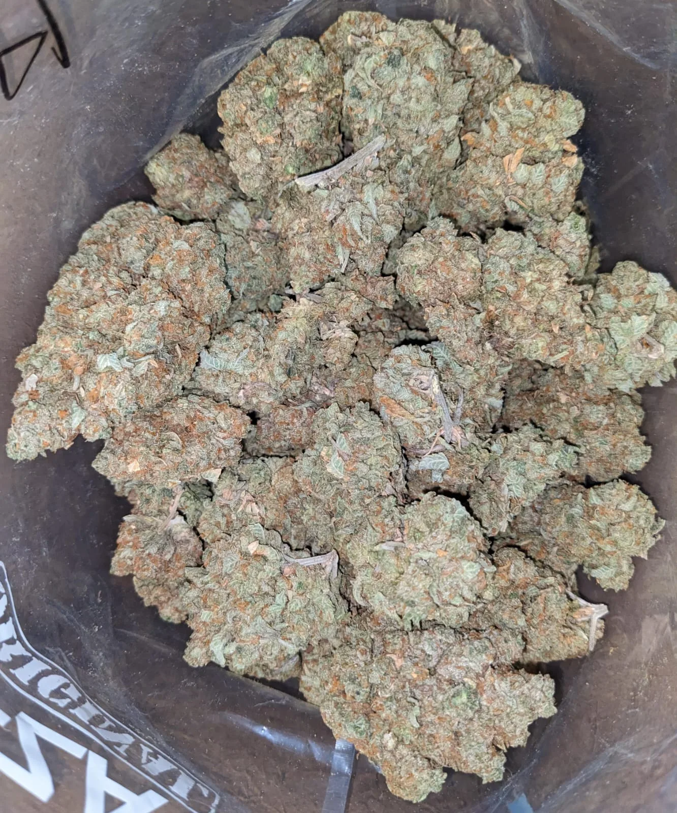 Cinnimint