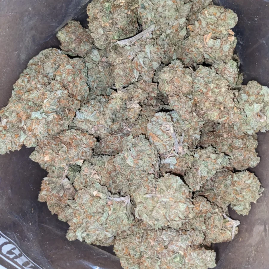 Alternative view of Cinnimint