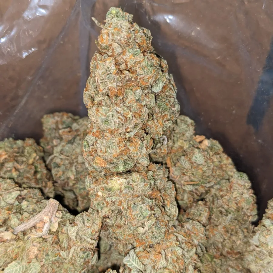 Cinnimint - Image 5